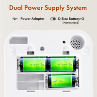 Comedero Inteligente para Mascotas BanabaPet, Alimentación Automática con Control de Porciones, Almacenamiento de Alimentos de Gran Capacidad de 6L, Adaptador Multi-Enchufe