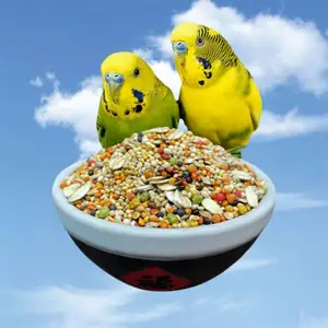 Wholesale mix 20kg seeds parrot feed budgerigar Lovebird food small parrot food with oats