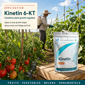 6-KT ไคเนติน 98% TC สารควบคุมการเจริญเติบโตของพืช ไซโตไคนิน 6-เฟอร์ฟิวริลอะมิโนเพียวรีน ชนิดผง สำหรับการแบ่งเซลล์พืชผล - Product Image 5
