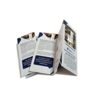 Impression de brochures écologiques personnalisées avec votre logo, service d'impression de catalogues en papier coloré, brochure premium tri-pliée