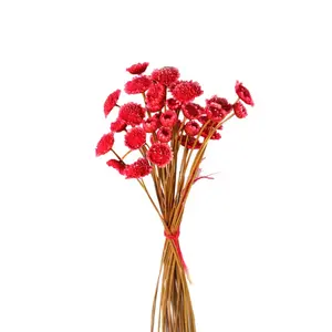 Fiori secchi per la decorazione di girasole decorazione d'interni colorati fiori secchi per la decorazione domestica