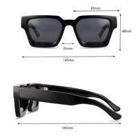 Lunettes de Soleil Polarisées en Acétate Épais Tendance de Luxe Haut de Gamme avec Logo en Métal Personnalisé pour Hommes et Femmes