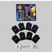 Système de Pyrotechnie Froide de Mariage, Télécommande Sans Fil, 2 Antennes, Machine à Feu d'Artifice, Spark Fresnel, 8 Pièces