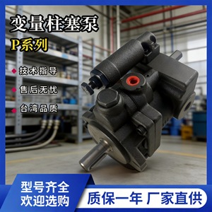 ปั๊มไฮดรอลิกอุตสาหกรรมแรงดันสูงแบบลูกสูบปรับปริมาตรได้ OMO P16-A3-FR - Product Image 2