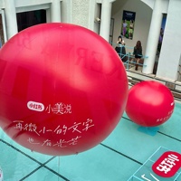 Ballon gonflable rond d'hélium pour la décoration de publicité