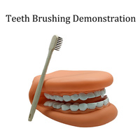 Type de gant en PVC souple pour enfants modèle de grandes dents outil d'enseignement de la maternelle pour la formation linguistique figurine d'action jouets de brossage