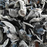 Hongo Negro Deshidratado AD de China al por Mayor, Grado Alimenticio Natural, en Rodajas, Certificado ISO9001/HACCP, 2 Años de Vida Útil