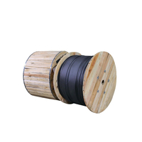 Câble à fibres optiques plat GYFXTBY pour extérieur, fourni par l'usine, avec gaine PE/AT, câble à fibres optiques monomode pour extérieur FTTH