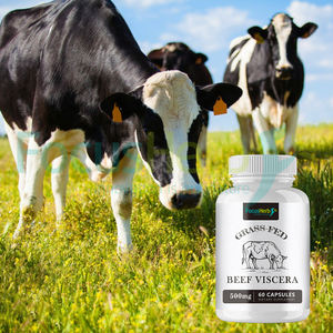 FocusHerb Complexe de Viscères de Bœuf Nourri à l'Herbe en Capsules – Suppléments pour Adultes – Mélange de Capsules - Product Image 3