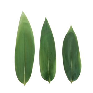 <span class=keywords><strong>Foglia</strong></span> <span class=keywords><strong>di</strong></span> bambù essiccata intera naturale grezza essiccata <span class=keywords><strong>di</strong></span> qualità Premium da 99 dati in oro Viet Nam - Product Image 2
