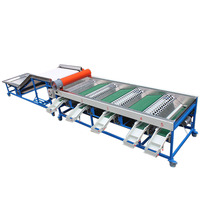 Automatische tomaten- en citrus sorteermachine met grote capaciteit, voor het sorteren van knoflookteentjes, gepelde knoflook en uien.