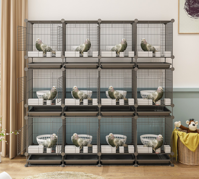 cage african lovebird