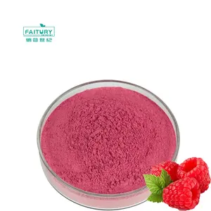 Vente en gros en usine Poudre de jus de framboise rouge séchée/lyophilisée biologique Poudre de framboise