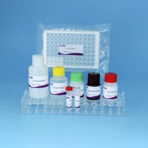 <span class=keywords><strong>Kit</strong></span> ELISA pour maladie cutanée grumeleuse | Test d'anticorps 96T bovin LSDV | <span class=keywords><strong>Kit</strong></span> de <span class=keywords><strong>diagnostic</strong></span> vétérinaire pour bétail - Product Image 4