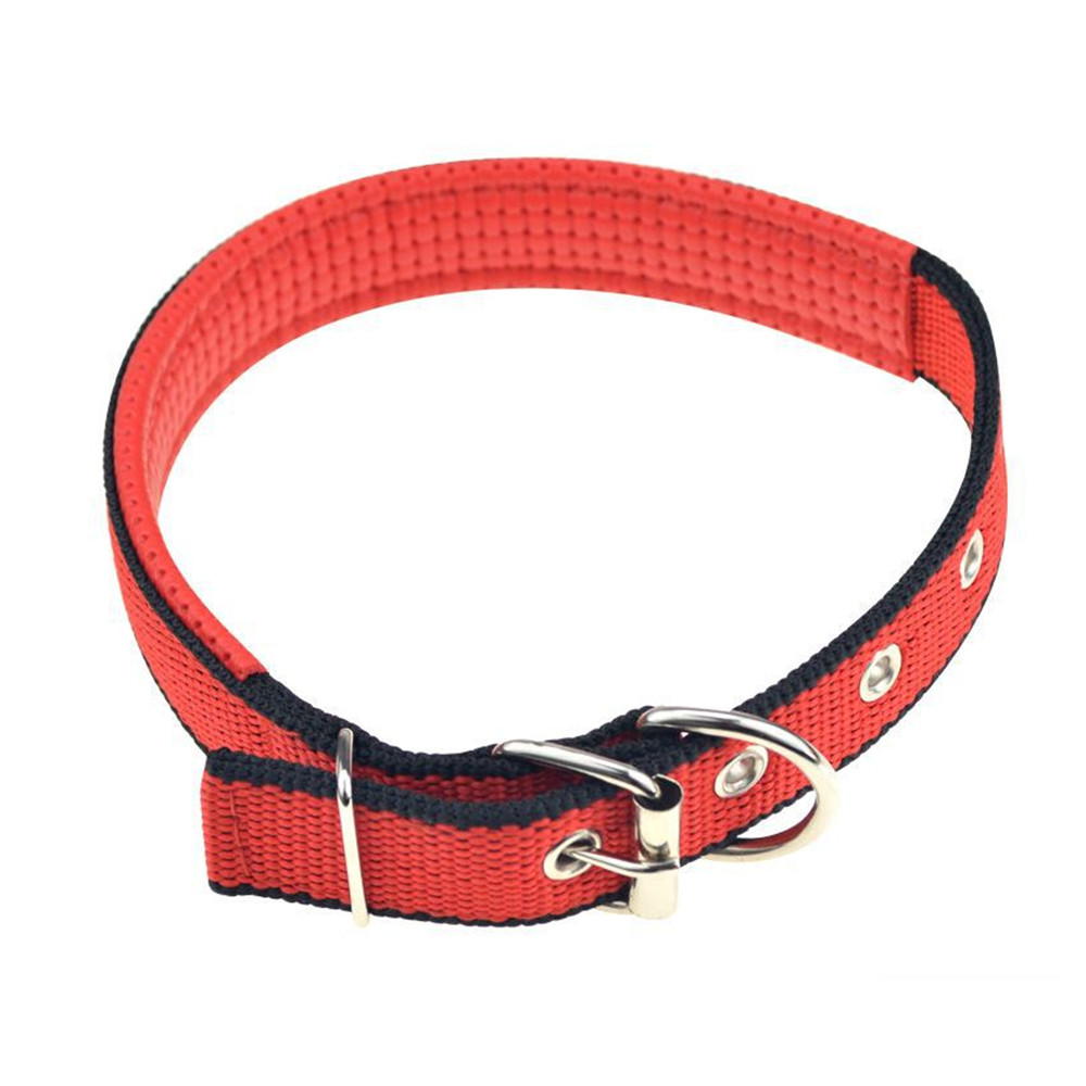 Rojo con borde negro