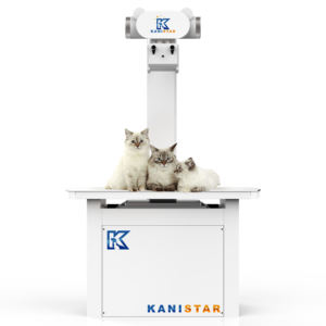 Equipos médicos de rayos <span class=keywords><strong>X</strong></span> asequible rayos <span class=keywords><strong>X</strong></span> <span class=keywords><strong>digital</strong></span> de rayos <span class=keywords><strong>X</strong></span> veterinario Pet DR Kanistar sistemas de radiografía veterinaria de rayos <span class=keywords><strong>X</strong></span> de animales - Product Image 3