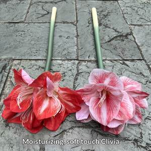 LO-610 Vente en gros de fleurs artificielles réalistes de 64 cm, Clivia à toucher réel, hydratante, à tige unique, <span class=keywords><strong>Amaryllis</strong></span>, fleur artificielle pour la décoration de la maison - Product Image 3