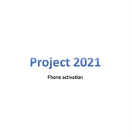 Logiciel de serveur réseau Project Professional Plus pour entreprises et usage domestique, version Pro, en stock, livraison rapide