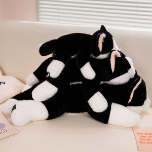 Recién llegado, lindo gato tumbado, juguetes de peluche, pequeño <span class=keywords><strong>gatito</strong></span>, Animal PP de peluche con relleno de algodón, técnicas bordadas para niños - Product Image 3