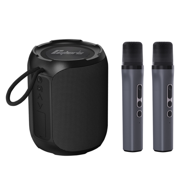 Mini Karaoke Machine with Two Microphones 40W Small Portable Wireless Speakers, IPX7 Waterproof Outdoor Speaker