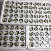 Pompa PCP Tangan Grosir Cina dengan Pengukur Tekanan Udara 30mpa