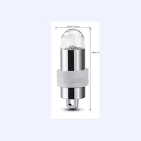 Lumière LED étanche pour ballon, petite ampoule ronde à visser de type balle, alimentée par piles, pour la décoration de fêtes de Noël