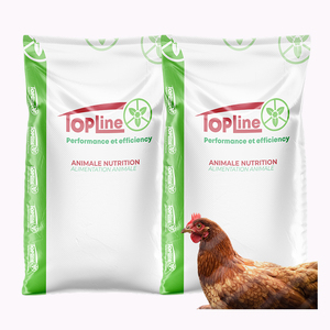 高タンパク質有機プレミックスチキンと鶏層飼料動物用粉末ブロイラー家禽鶏飼料 - Product Image 3