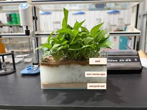 Đất Revitalizer cho cằn cỗi đất-Tăng cường nước muối đất hydrat hóa sản xuất tại Trung Quốc - Product Image 2