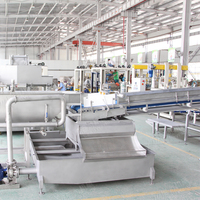 Industriële Automatische Sla Salade Verwerking Lijn Groente En Fruit Wassen Cleaning Machine