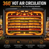 Commerciële fruitdroogapparatuur voor mango- en bananenchips, roestvrij staal SUS304, automatisch droogsysteem met 220V/380V spanning