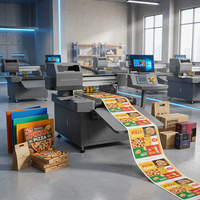 Imprimante numérique à jet d'encre Sunthinks Industrial SC300 A3 à passage unique pour l'impression de boîtes en carton, de sacs en papier kraft, solutions d'impression