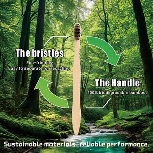 Vente en gros personnalisable hôtel maison coffret kraft jetable écologique biodégradable brosse <span class=keywords><strong>bambou</strong></span> - Product Image 6
