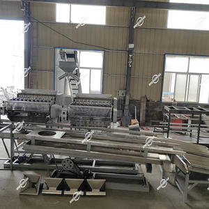 Linea di produzione automatica completa altra Macadamia di mandorle <span class=keywords><strong>nocciole</strong></span> che sbollenta la sbucciatura della macchina per la lavorazione degli anacardi - Product Image 4