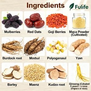 Muestra Gratuita de Té para Riñón Fulife para Hombres Adultos con Maca y Ginseng - Suplemento <span class=keywords><strong>Herbal</strong></span> Anti-Fatiga para Energía, 10 Sobres por Bolsa - Product Image 3