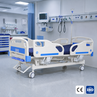 Lit médical manuel multifonctionnel pour hôpital avec matériau ABS, conception à 3 manivelles, doté d'un dossier réglable et d'une fonction de levage