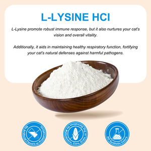 Complément alimentaire pour animaux de compagnie Oimmal, soins de santé, poudre naturelle de L-Lysine pour chats, soutien immunitaire, santé respiratoire, fonction nasale et oculaire - Product Image 3