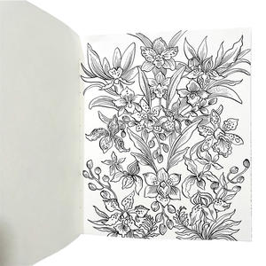 Libro para Colorear A4 para Descompresión y Relajación, Diseños Lindos Dibujados a Mano para Niños, Encuadernación en Espiral, Tapa Dura, Papel de Arte, Impresión Personalizada - Product Image 2