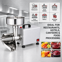 Commerciële fruitpulpmachine, elektrische sapcentrifuge met zuiver koperen motor, jam-apparatuur voor de horeca.