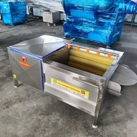 Automatische aardappelwas- en schilmachine met borstelrolreiniger voor zoete aardappel, cassave, wortel, gember en groenteverwerkingsapparatuur