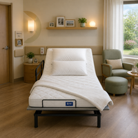 Cadre de lit électrique en métal universel, adapté à tous les types de matelas, cadre de lit réglable, convient aux lits simples et doubles.