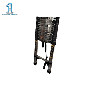 <span class=keywords><strong>Escalera</strong></span> Telescópica Plegable de Acero Inoxidable de Diseño Industrial de 5.9 Metros - Product Image 2