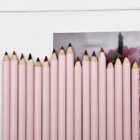 Crayons à lèvres vegan haute pigmentation, résistants à l'eau, 26 couleurs, marque privée, vente en gros, logo personnalisé, crayons à lèvres en bois rose