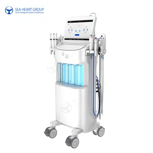 2023 Fabriek Hot Verkoop Salon Ems Hoge Frequentie Gezichts Hydro Dermabrasie Machine Voor 14 In 1 Anti-Aging Behandeling