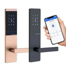 Hotel Room Door Lock Handle RFID Swipe Card Keyless Smart Door Lock For Hotel With Management Software System