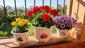 Wholesale Decorative PP Plastic <b>Garden</b> Planters 4 Seasons Pattern Round Flower Pots with Bonsai and Flower A410 - Product Image 3