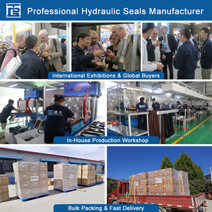 TONGDA Chine – Vente en gros usine, expédition en vrac – Joints d'étanchéité hydrauliques à <span class=keywords><strong>double</strong></span> lèvre en métal NBR DKB pour excavatrice - Product Image 5