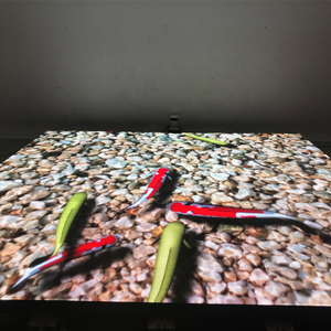Danseuse led interactif avec écran numérique HD, led, mobile, vidéo numérique, à vendre - Product Image 5