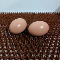 Nouvelle tapisserie de nidification en plastique pour poulailler, facile à laver et réutilisable, pour des poules qui pondent sainement et des poules pondeuses.