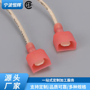 Encendedor de estufa TAT-DHG-008, aguja de encendido eléctrico para estufas de gas y accesorios para calderas - Product Image 3