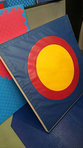 Tappeto da Lotta 12m e Attrezzatura per Arti Marziali con Copertura in Offerta - Product Image 5